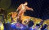 «Росгосцирк» предлагает изменить традиционную арену цирка 26.01.2016