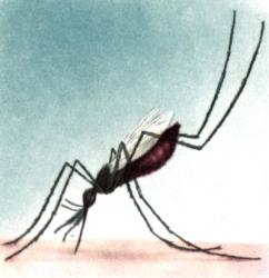 Как защитить ребенка от комаров